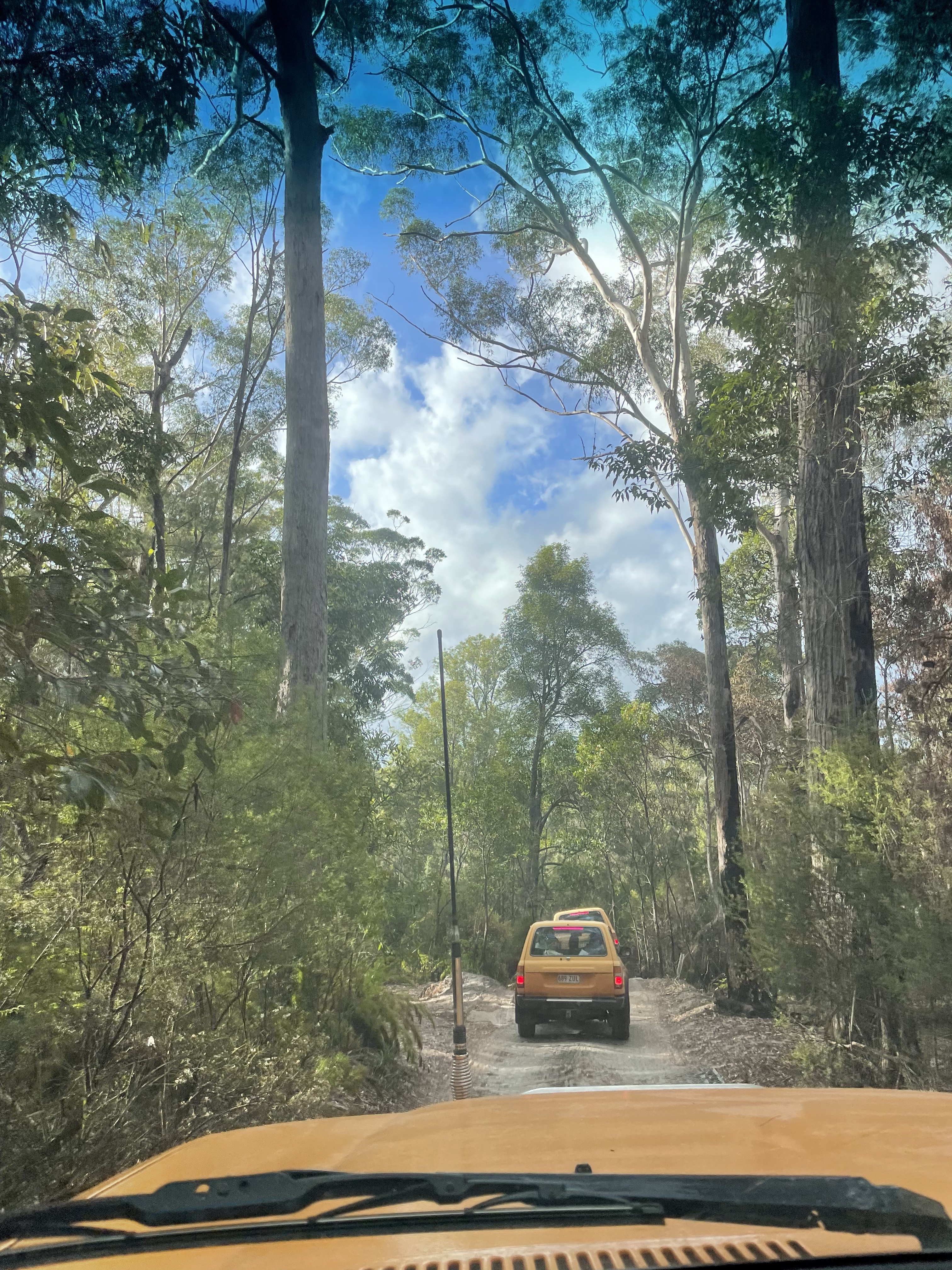 Fraser Island, Australia