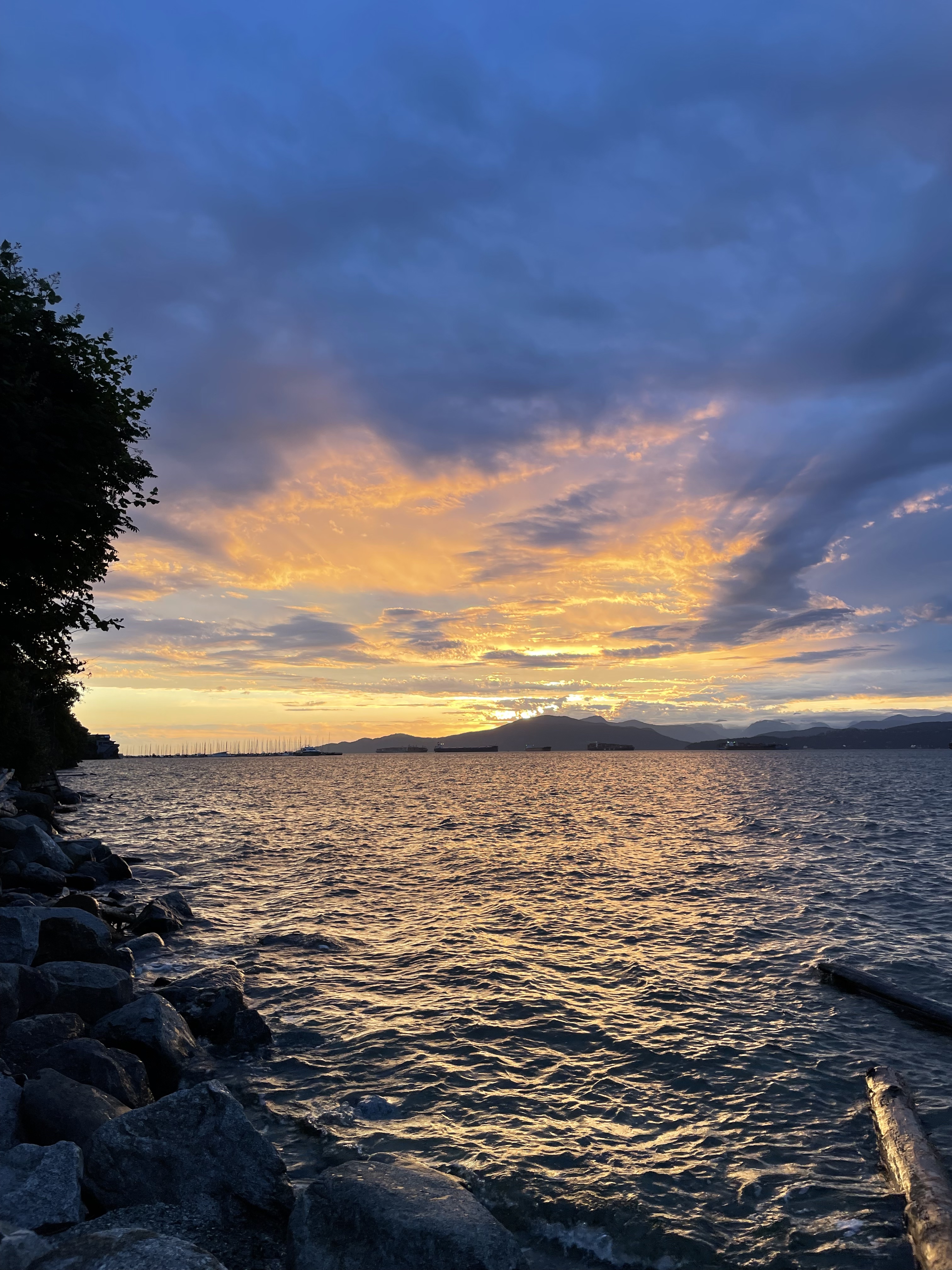 Kitsilano Beach